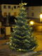 Weihnachtsbäume gesucht